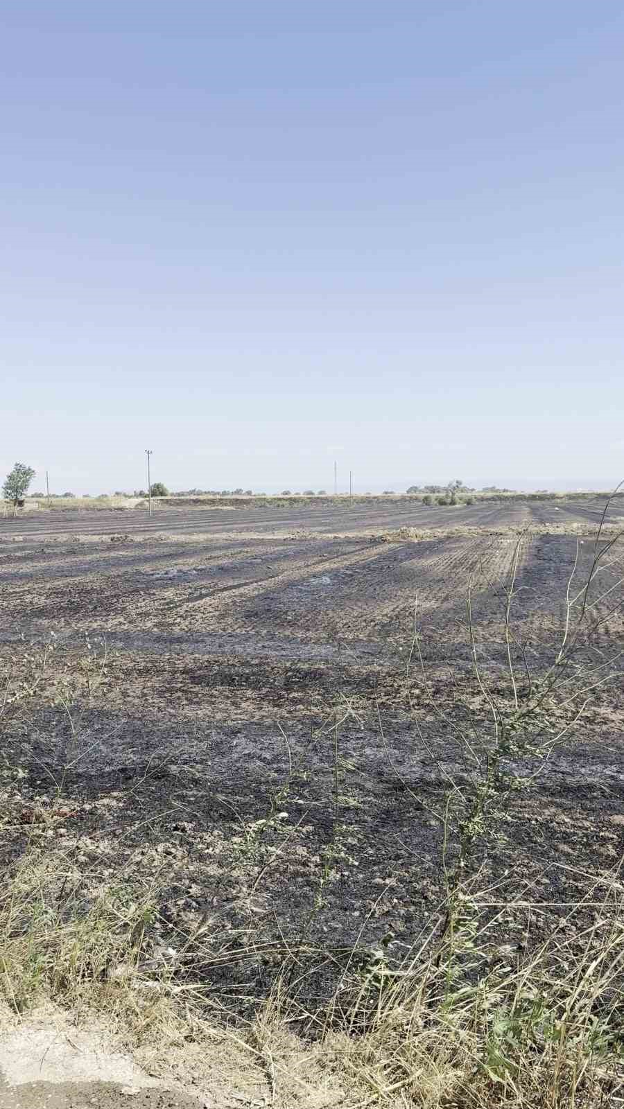 bursada aniz yangini kontrol altina alindi geriye kul olan alanlar kaldi 1 Iv57KS2K