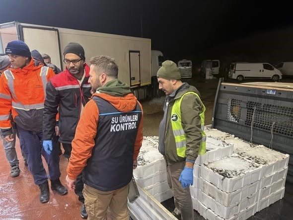 bursada balik halinde gece operasyonu615 kilo istavrite el konuldu 4