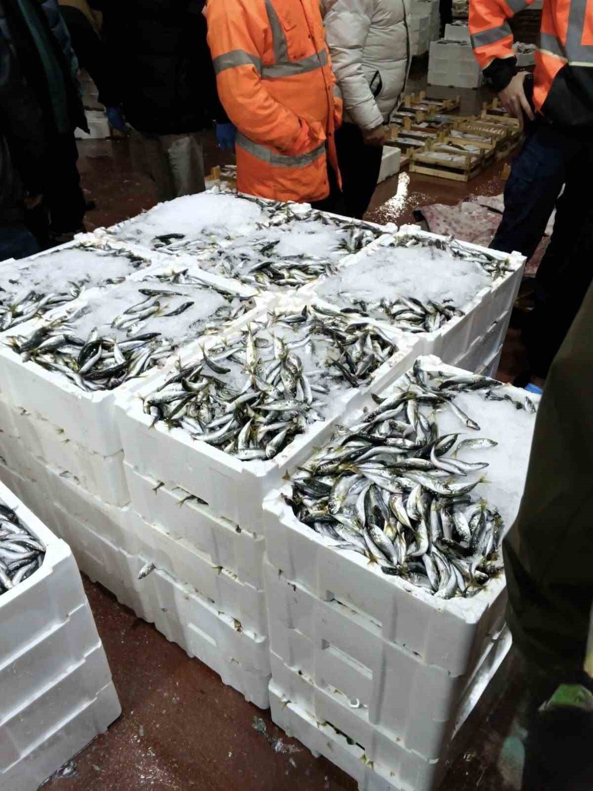 bursada balik halinde gece operasyonu615 kilo istavrite el konuldu 5 nS7P2bzF