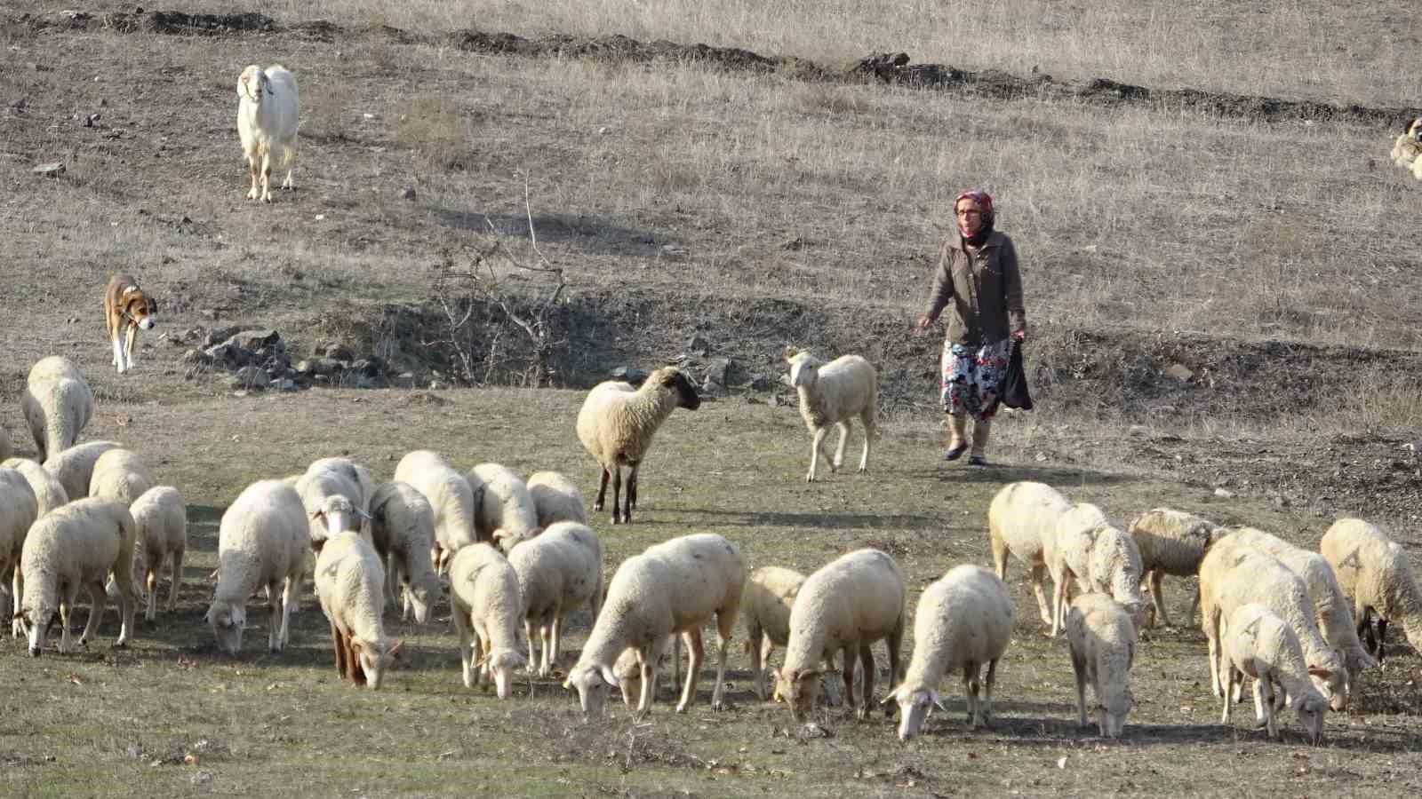 bursada bogazindan bicaklanarak oldurulen kadinin eski goruntuleri ortaya cikti 0 bc3XPXgz