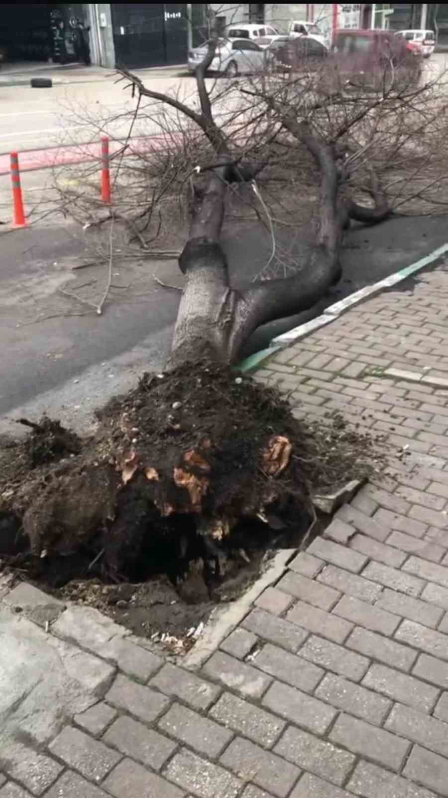 bursada cati ve prefabrik evler boyle uctu agaclar kirildi 4 y314qnWg