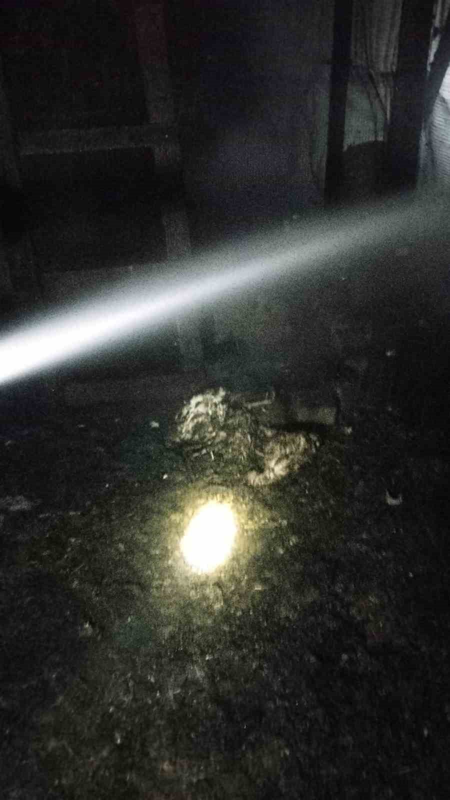 bursada ciftlikte yangin 580 kanatli hayvan telef oldu 6 8t2sMsqq