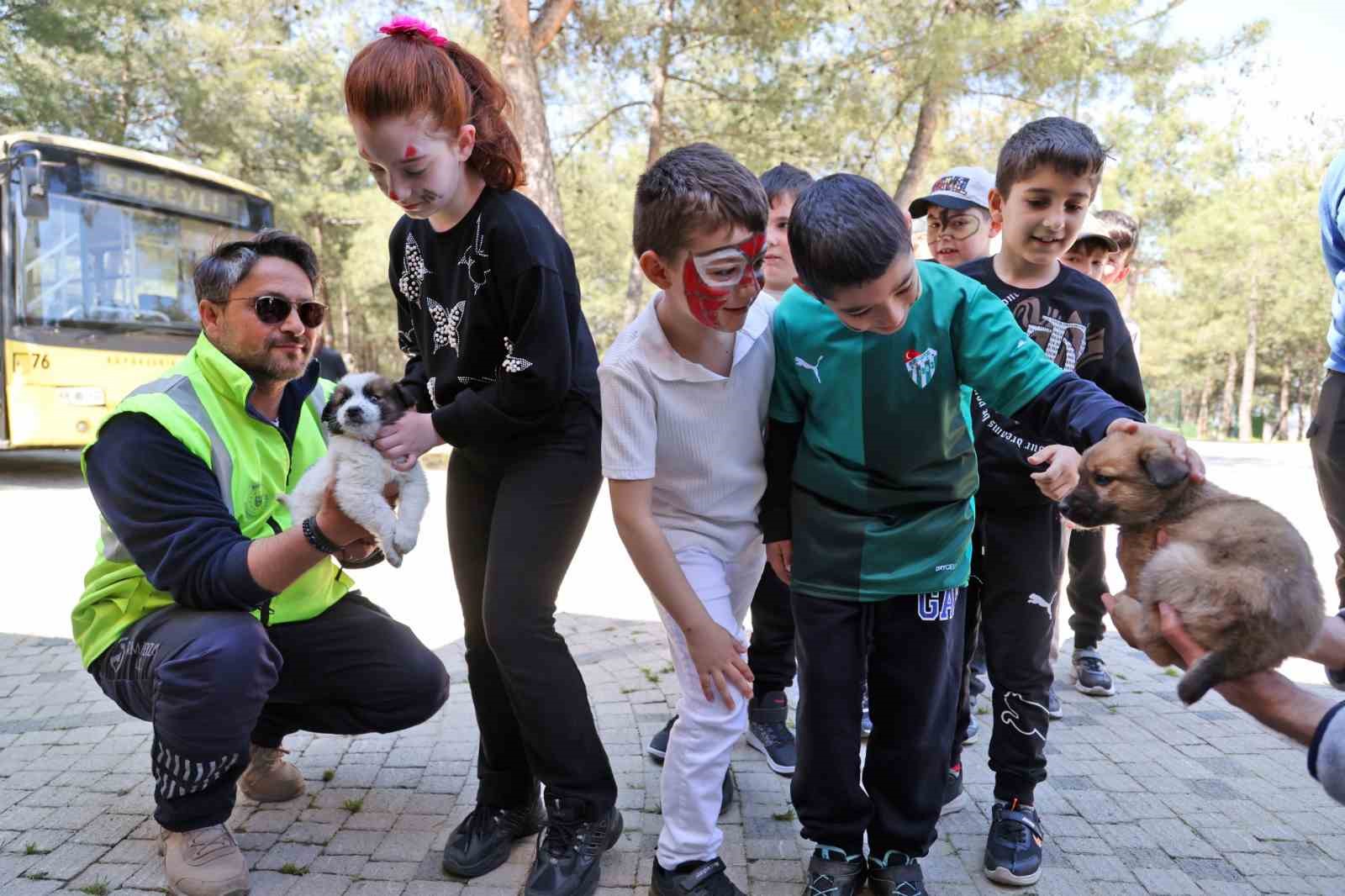 Bursa’da çocuklar patili dostlarla buluştu 5 bursada cocuklar patili dostlarla bulustu 1