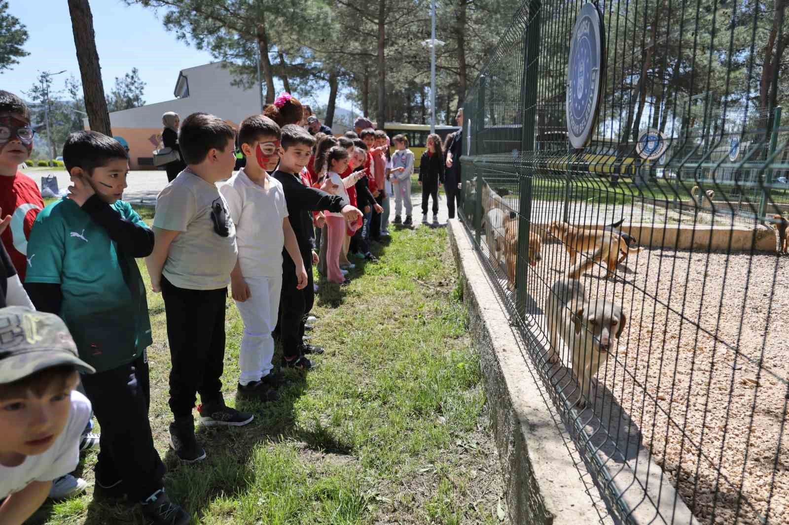 Bursa’da çocuklar patili dostlarla buluştu 7 bursada cocuklar patili dostlarla bulustu 3 13kOlB7C