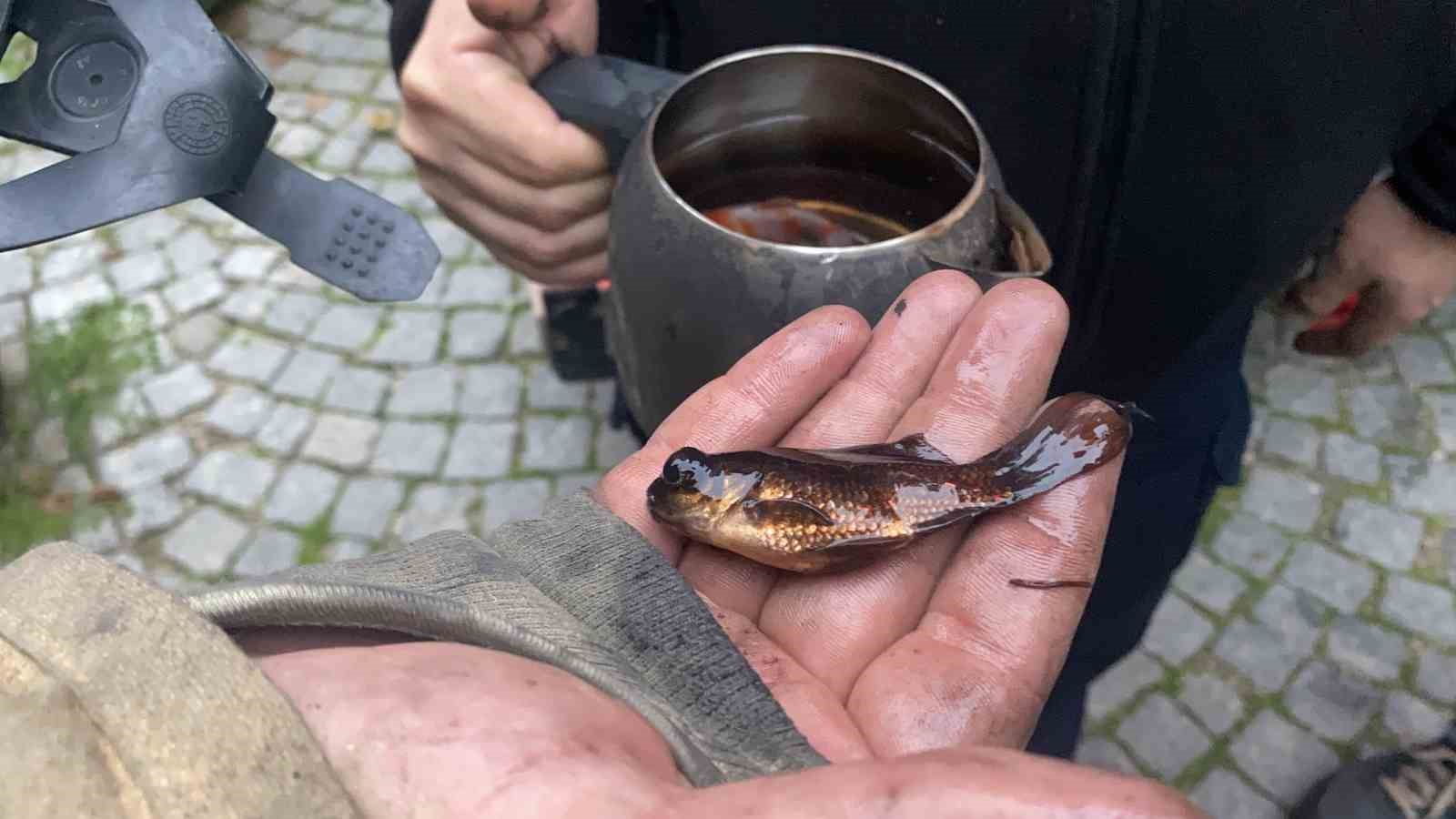 bursada ev yangini itfaiyenin hizli mudahalesiyle akvaryumdaki baliklar kurtarildi 4 d3PlfL9m