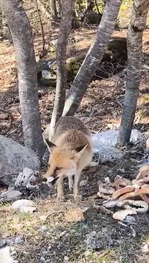 bursada ilginc goruntuler 1 kefLCdAZ