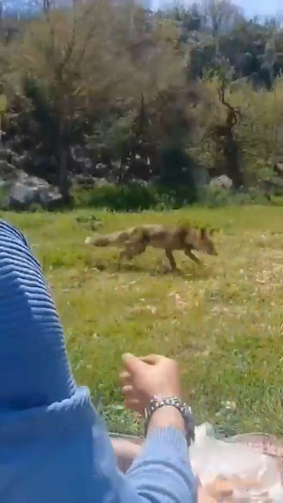 bursada ilginc goruntuler 3 GlqncwmU