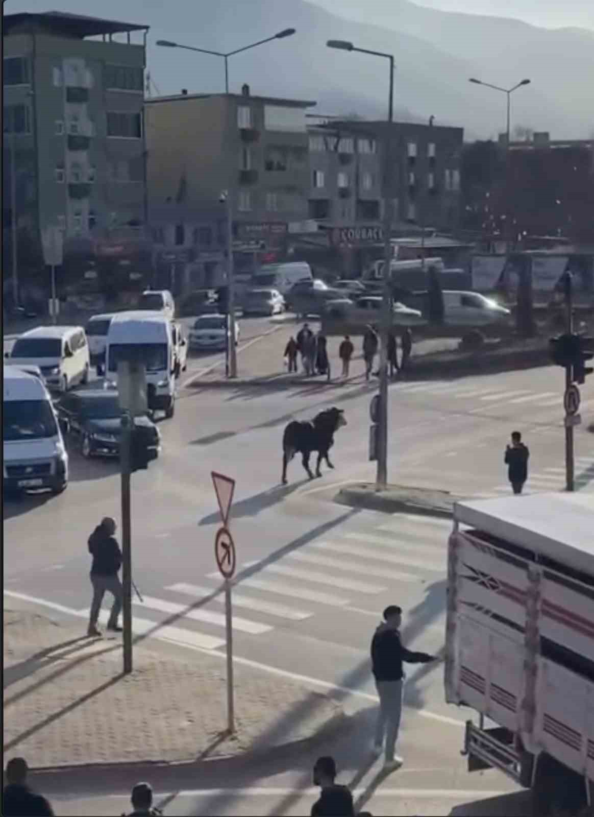 bursada kacan boga trafigi karistirdi ankara yolunda metrelerce kostu 1 Iar4uuus