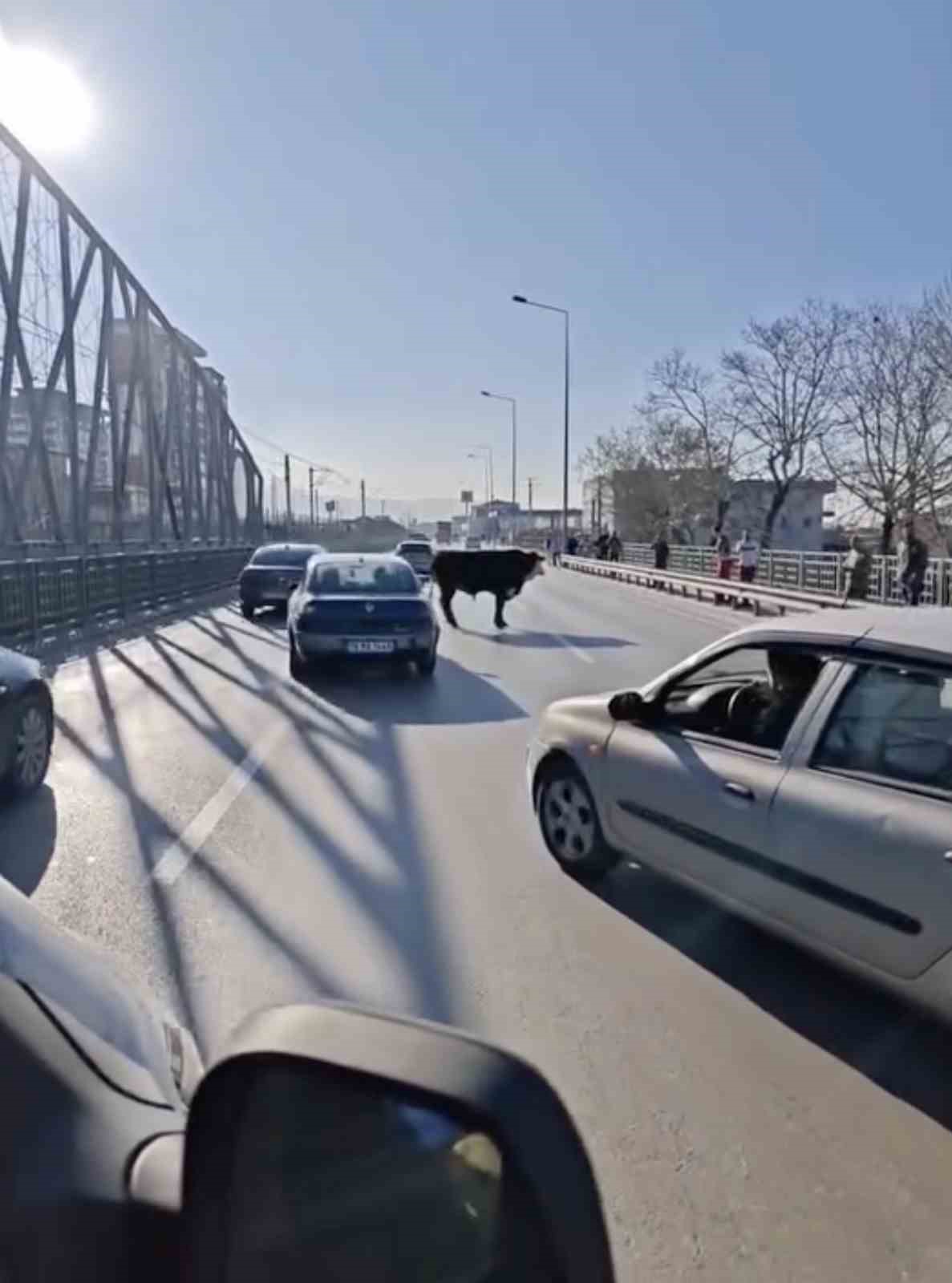 bursada kacan boga trafigi karistirdi ankara yolunda metrelerce kostu 2