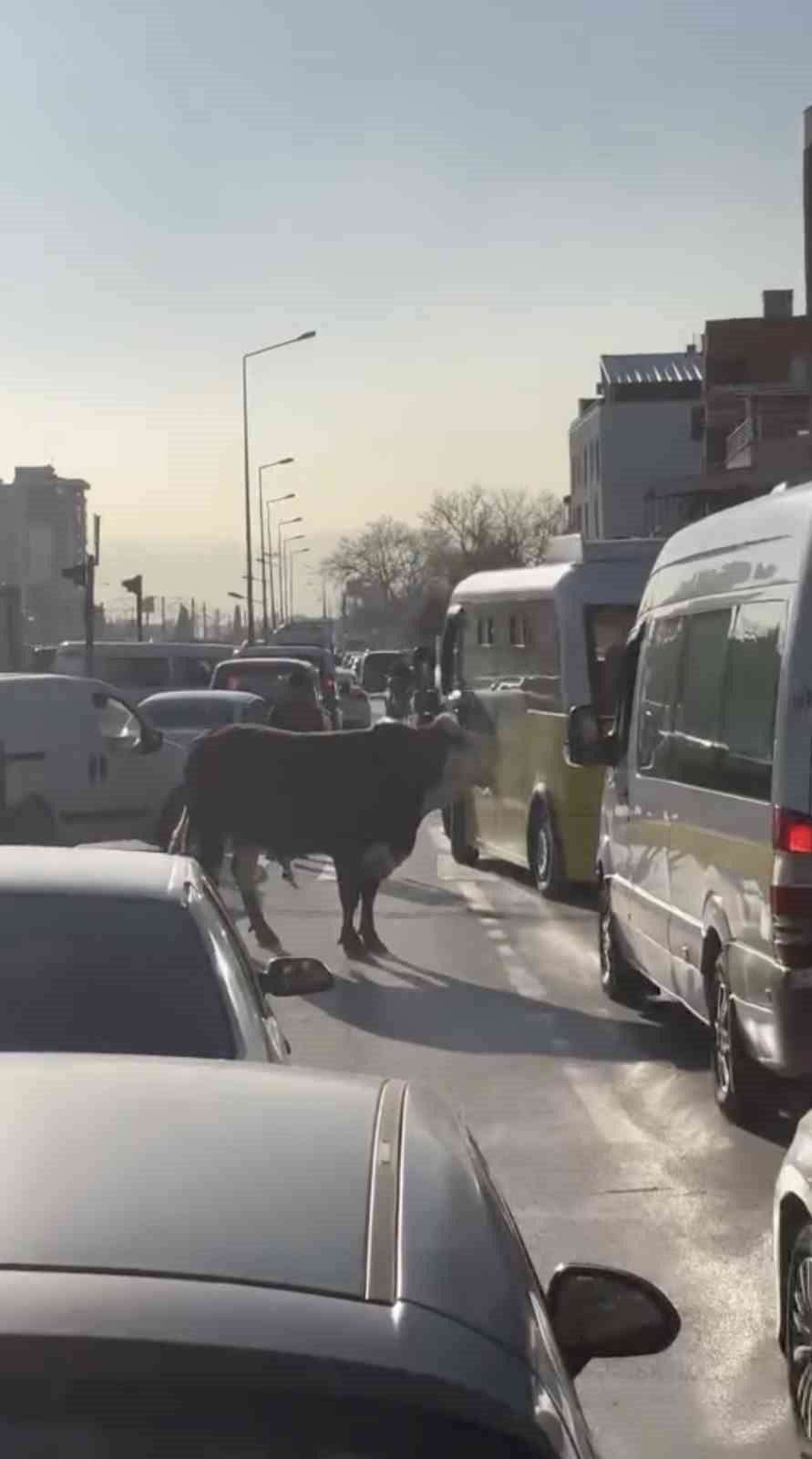 bursada kacan boga trafigi karistirdi ankara yolunda metrelerce kostu 4 e5M5N5aC