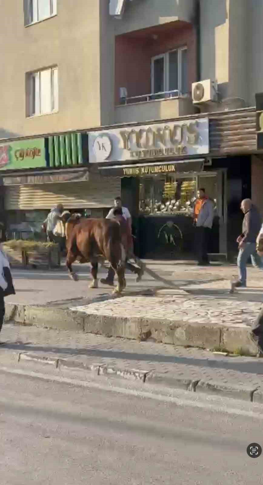 bursada kacan boga trafigi karistirdi ankara yolunda metrelerce kostu 5 Bd6qwptS