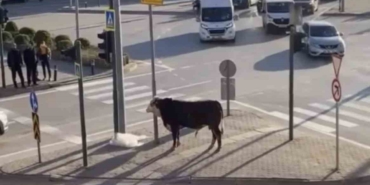 bursada-kacan-boga-trafigi-karistirdi-ankara-yolunda-metrelerce-kostu-8DN8Khte.jpg