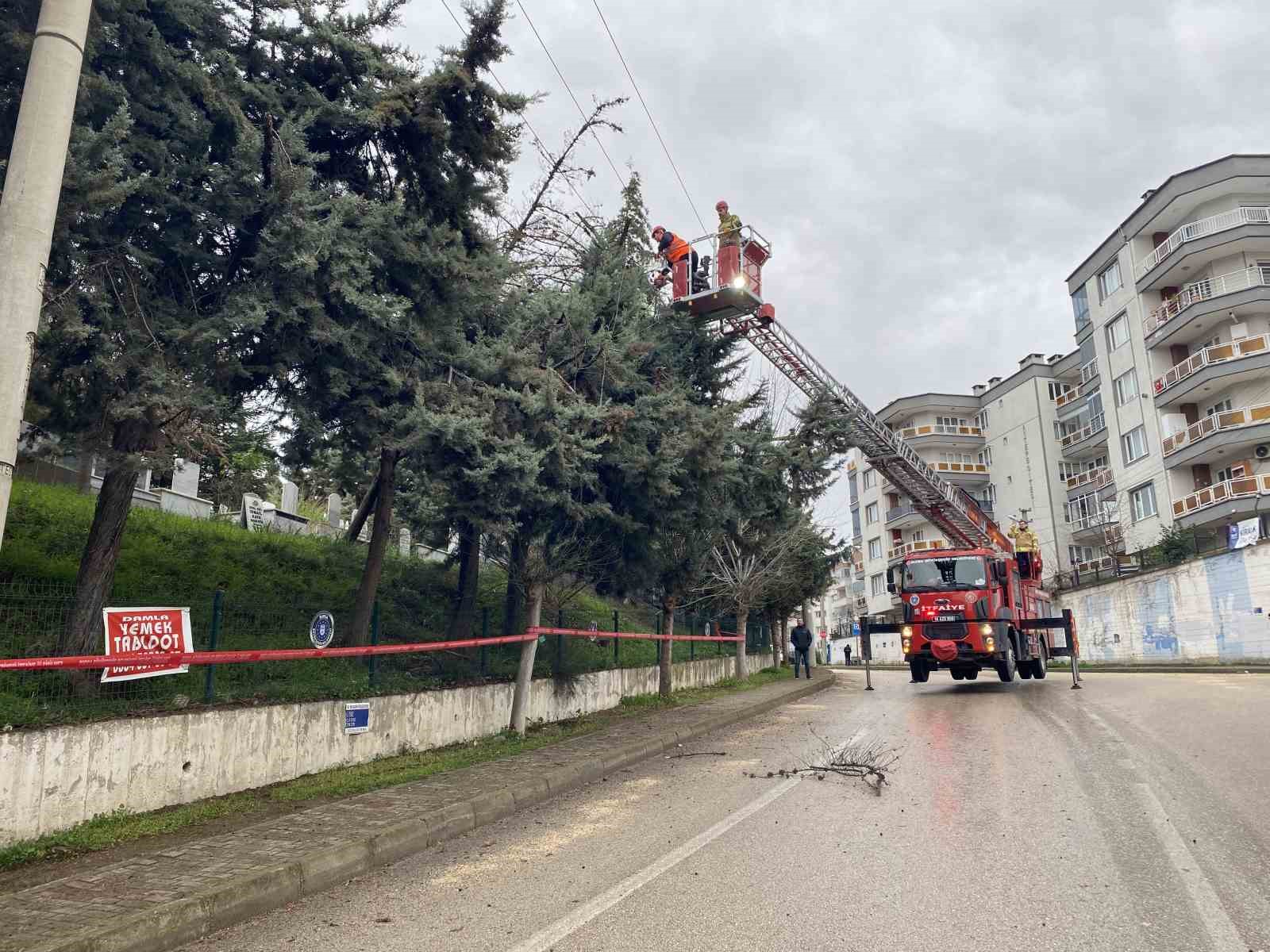 bursada lodos agaci devirdi elektrik hatlari zarar gordu 0 4Yh4wgGL