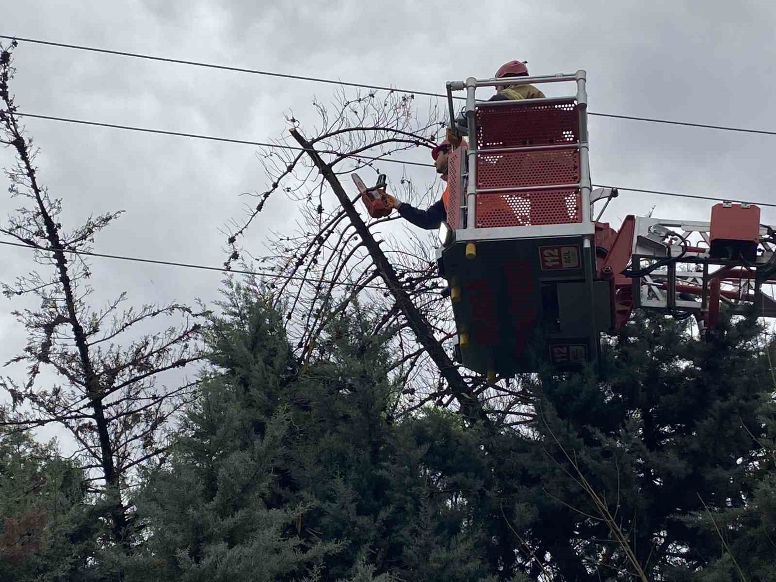 bursada lodos agaci devirdi elektrik hatlari zarar gordu 2