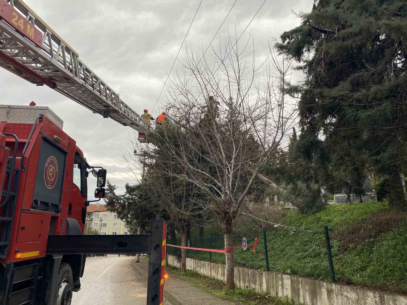 bursada lodos agaci devirdi elektrik hatlari zarar gordu 3 CX8ET5Ur