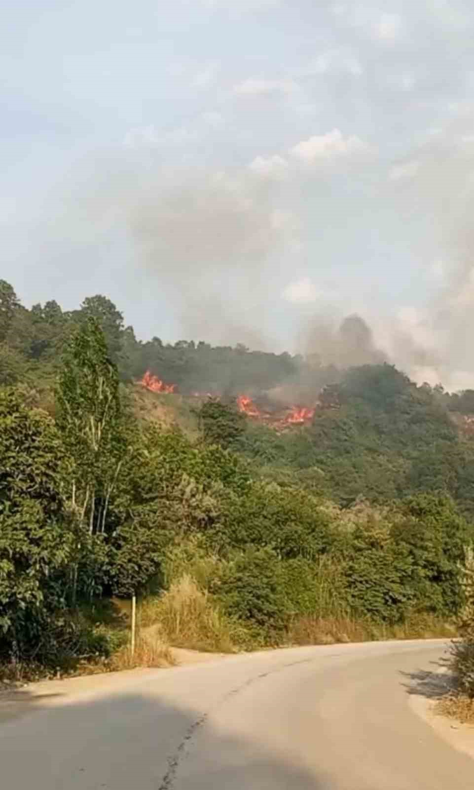 bursada makilik alanda yangin 1 Sf7C2Xgh