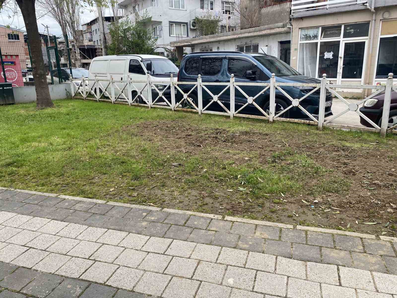bursada parkta toplanan bitki az kalsin faciaya yol aciyordu 2 5GDh7RVW