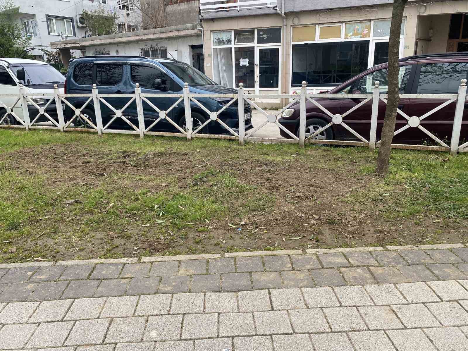 bursada parkta toplanan bitki az kalsin faciaya yol aciyordu 3 XfqSGZZC