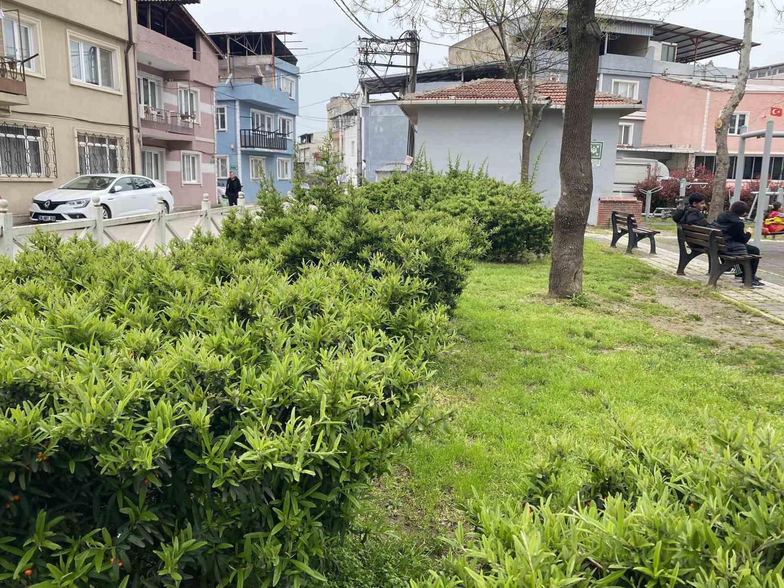 bursada parkta toplanan bitki az kalsin faciaya yol aciyordu 5 cUQ1kPjW