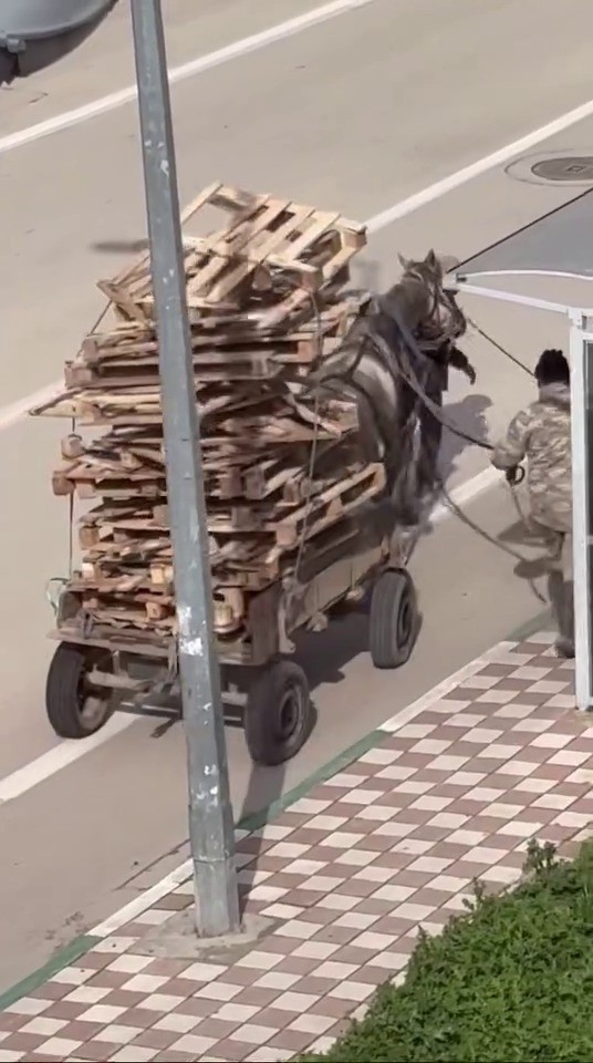 bursada pes dedirten goruntuler 0 VhOdy1ze
