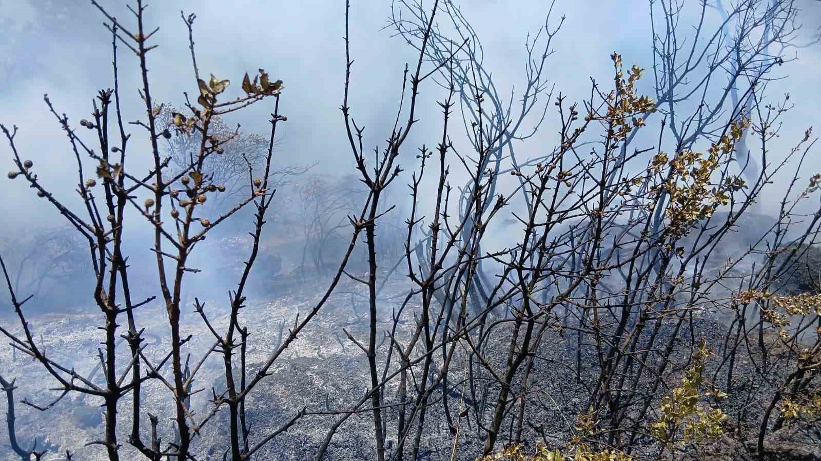 Bursa’da piknik alanı yakınındaki yangın korkuttu 5 bursada piknik alani yakinindaki yangin korkuttu 1 lH3EOwRC