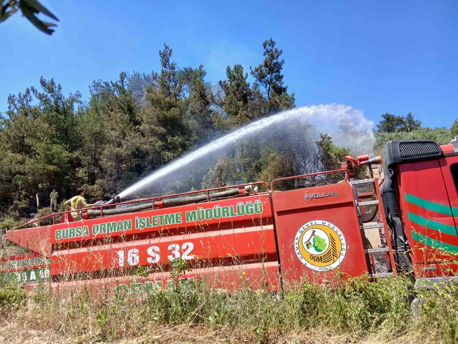 Bursa’da piknik alanı yakınındaki yangın korkuttu 6 bursada piknik alani yakinindaki yangin korkuttu 2