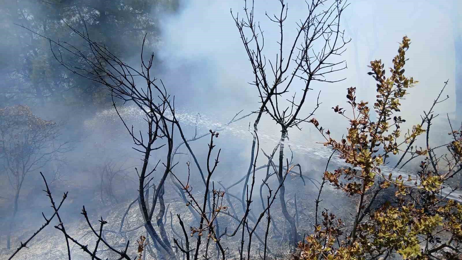 Bursa’da piknik alanı yakınındaki yangın korkuttu 7 bursada piknik alani yakinindaki yangin korkuttu 3 cvCtLyhG