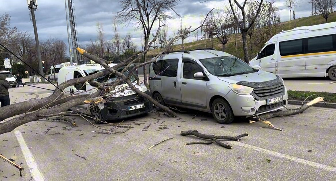 bursada seyir halindeki araclarin uzerine agac devrildi 0 pH3QhQmK