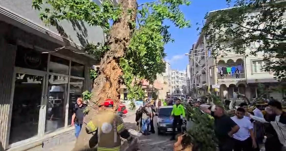 bursada seyir halindeki araclarin uzerine agac devrildi 1 kisi yaralandi 0 KJm3Uwlm