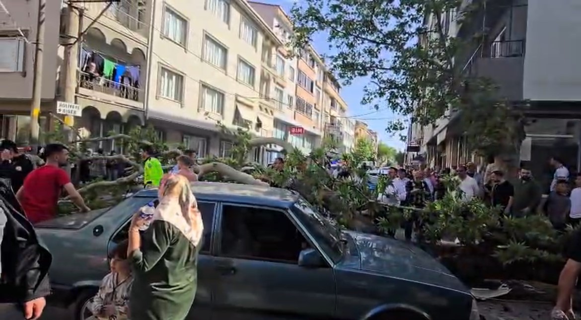 bursada seyir halindeki araclarin uzerine agac devrildi 1 kisi yaralandi 1 NkjIB8SC