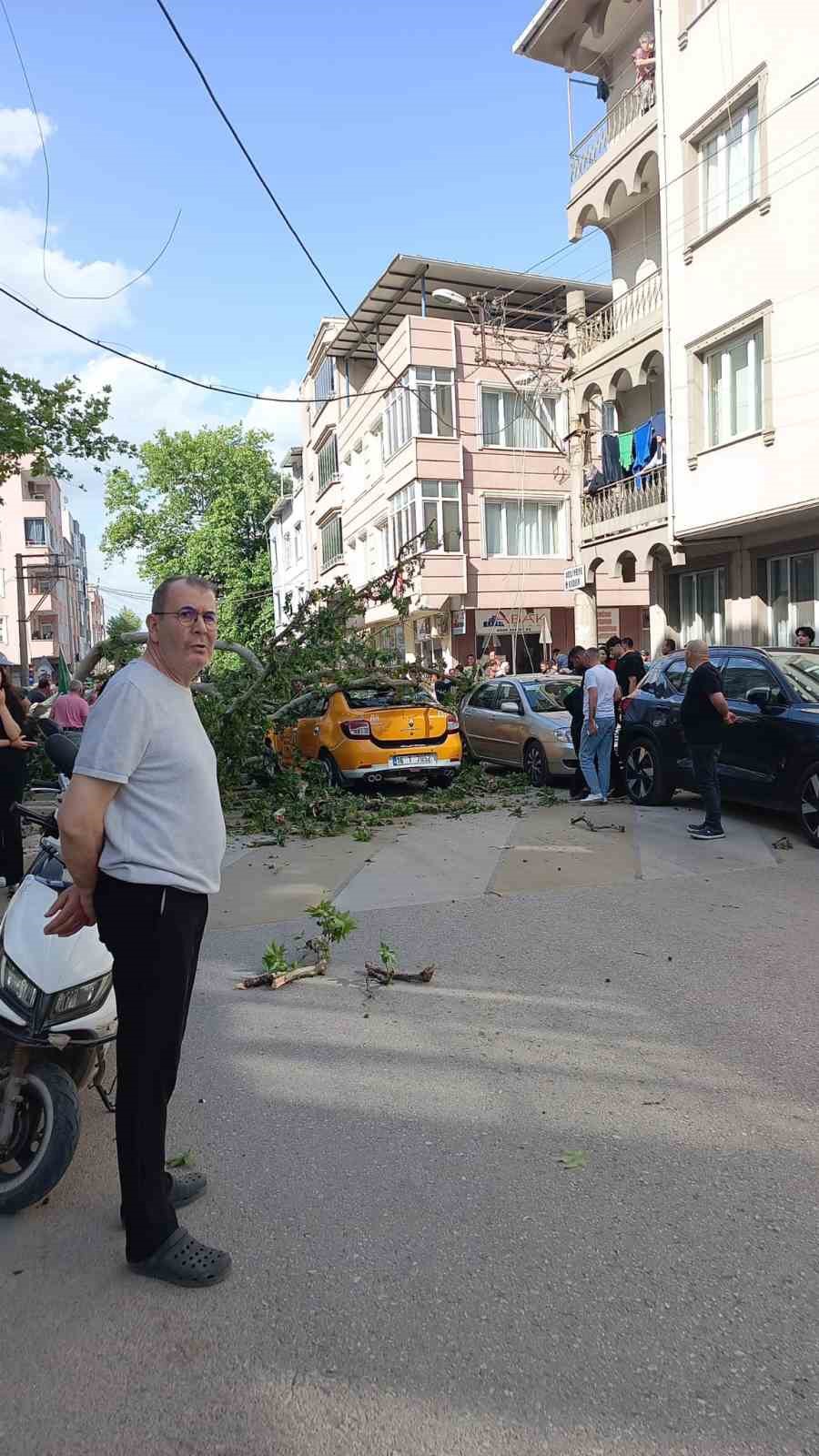 bursada seyir halindeki araclarin uzerine agac devrildi 1 kisi yaralandi 4 RCZFg36y