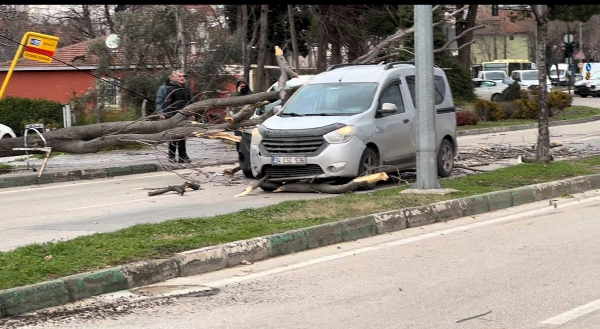 bursada seyir halindeki araclarin uzerine agac devrildi 1 nkkX1EnY