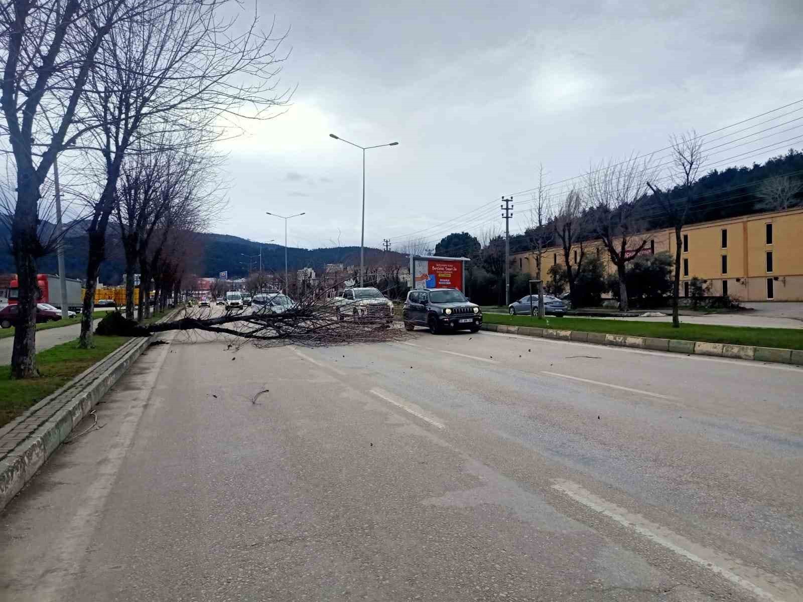 bursada seyir halindeki araclarin uzerine agac devrildi 2 szHEV96Y