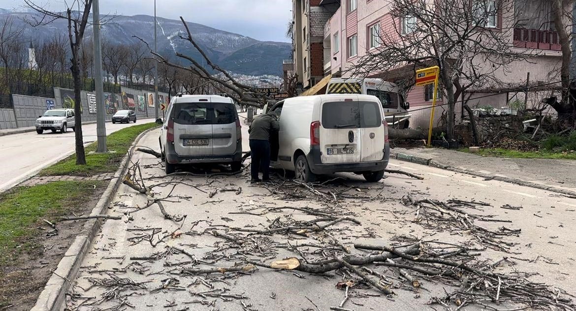 bursada seyir halindeki araclarin uzerine agac devrildi 3 EnqaECeg
