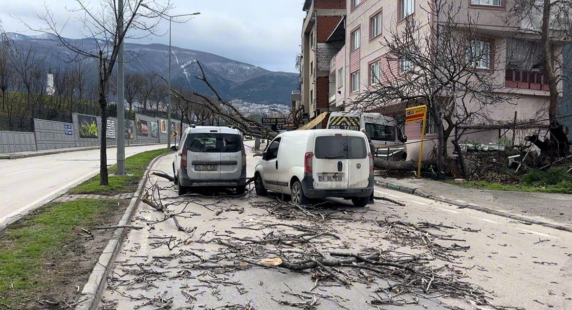 bursada seyir halindeki araclarin uzerine agac devrildi 4 Oa89fMJh