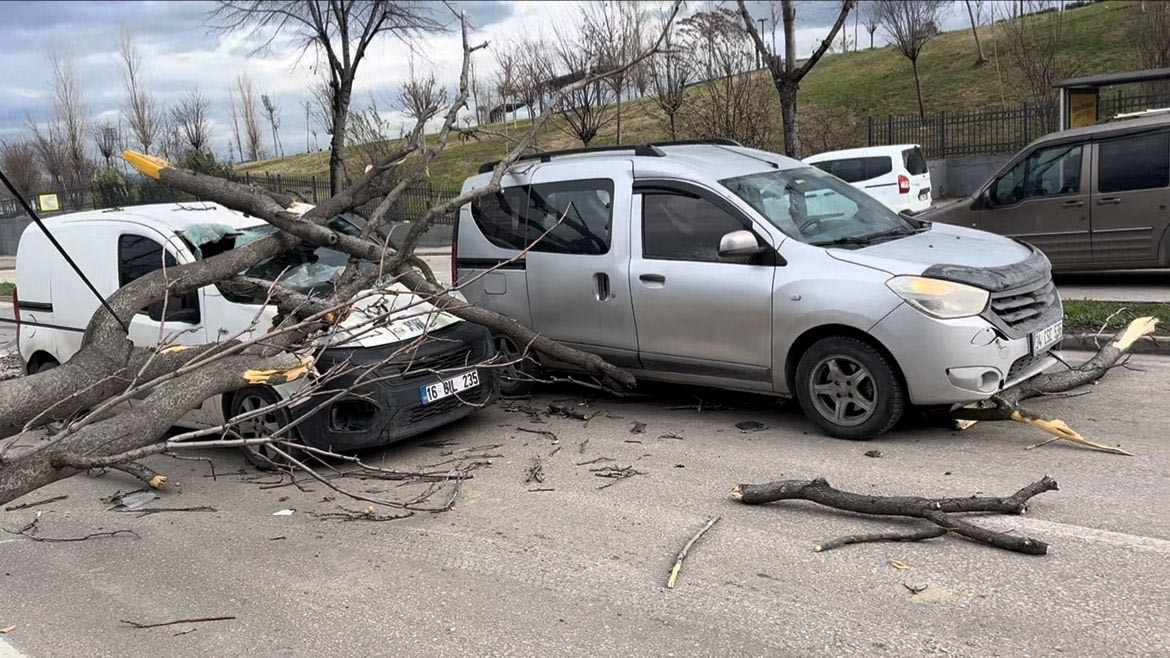 bursada seyir halindeki araclarin uzerine agac devrildi 5