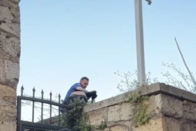 Kiraz toplamak için çıktığı ağaçtan düşerek yaralandı 1 thumbnail