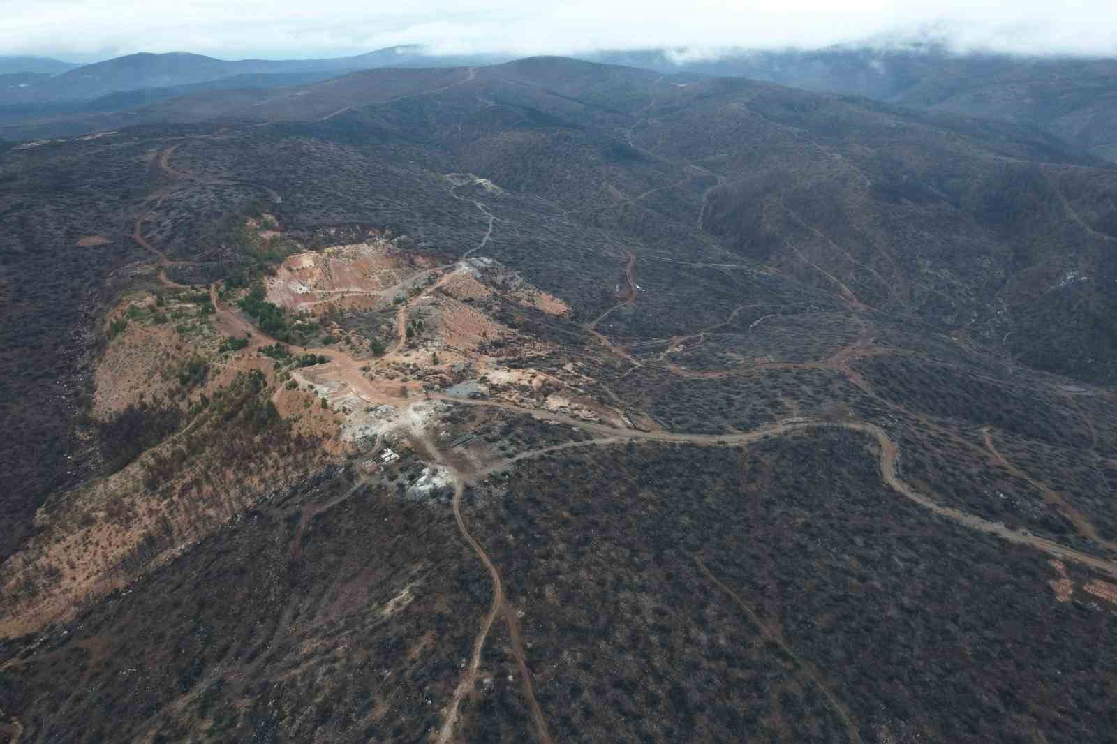 bursada tarihin en buyuk orman yangininda yaralar boyle sarildi 2 XNpyGYSD
