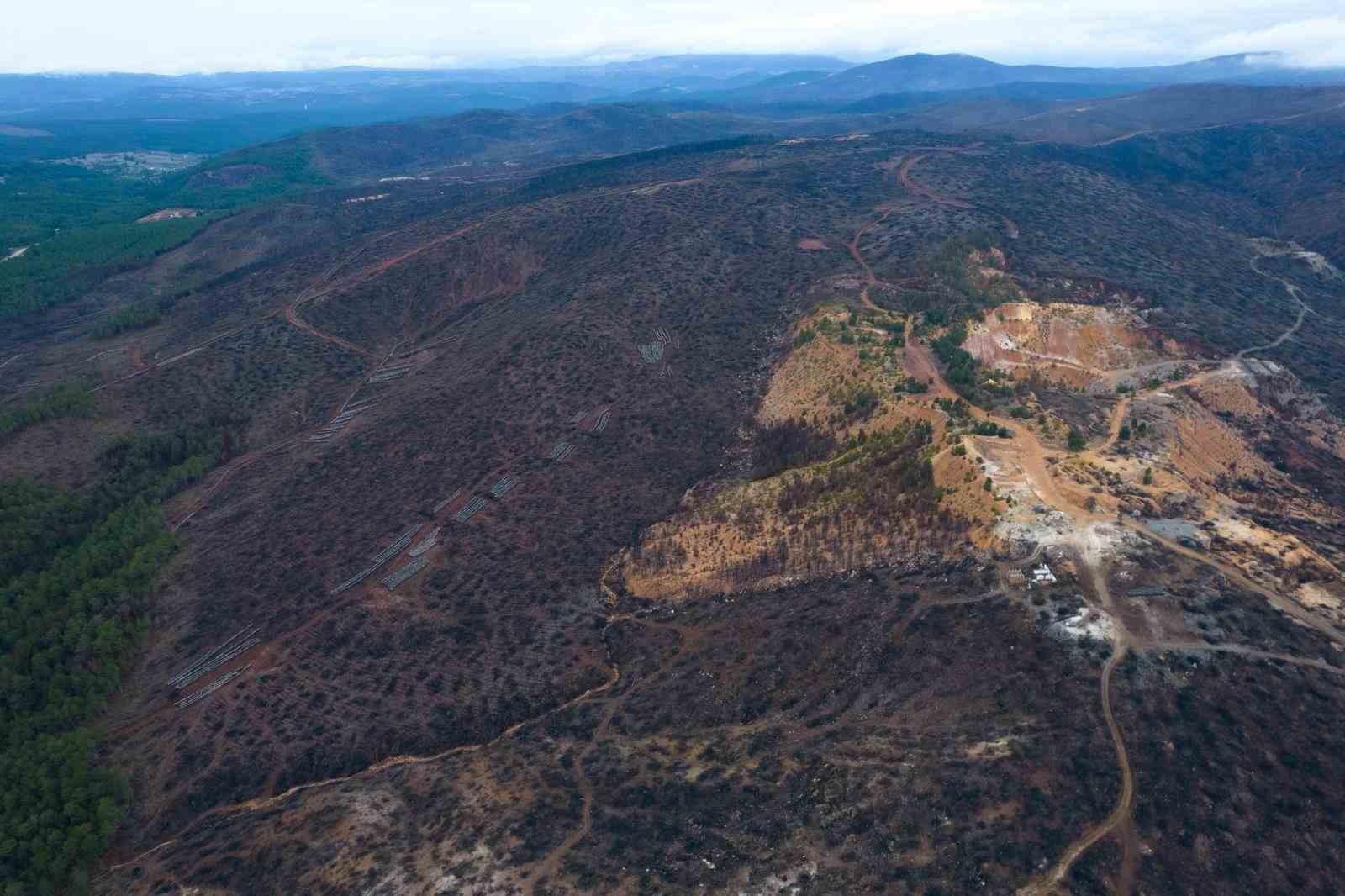 bursada tarihin en buyuk orman yangininda yaralar boyle sarildi 3 RzkrzHJw