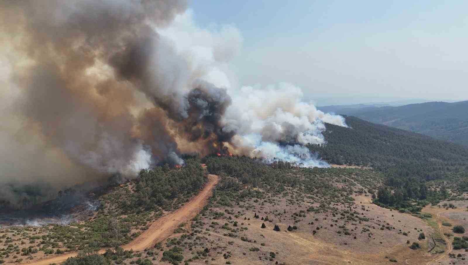 bursada tarihin en buyuk orman yangininda yaralar boyle sarildi 9 4dQwJF2w