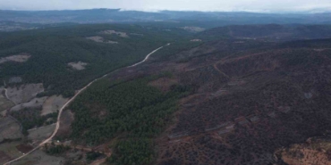 bursada-tarihin-en-buyuk-orman-yangininda-yaralar-boyle-sarildi-hw2IGImn.jpg