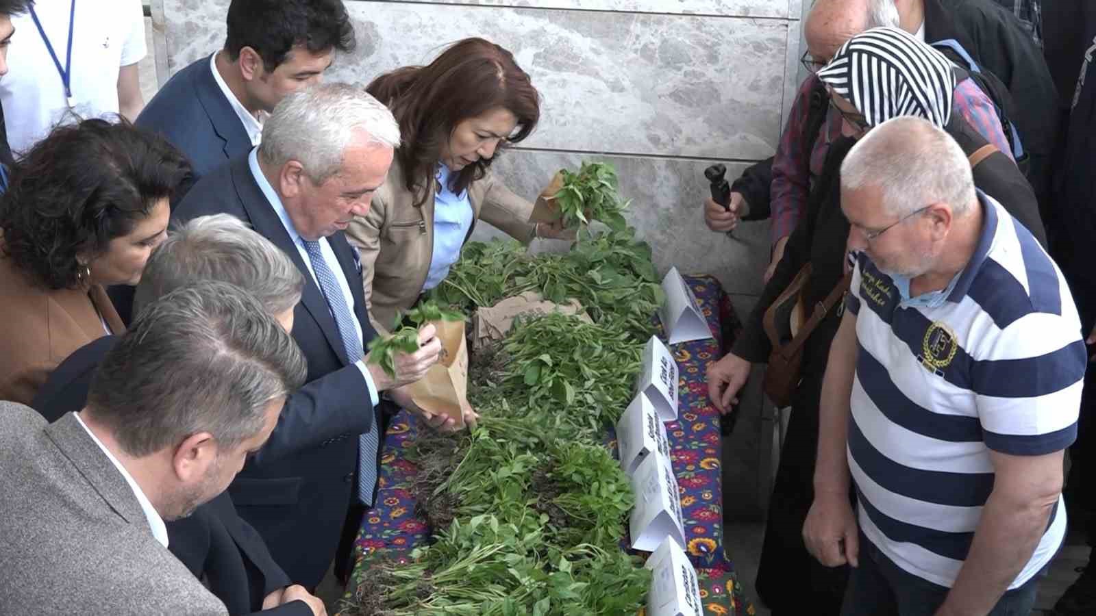 bursada ucretsiz fide izdihami 3 wS4jMlXV