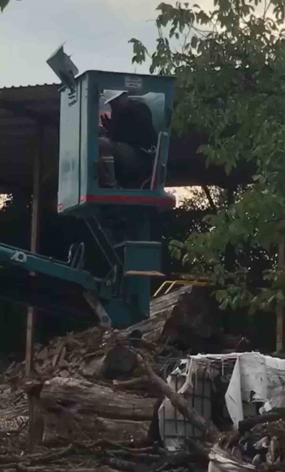 bursada vinc ustunde ari alarmi 0 G4Ge17jF