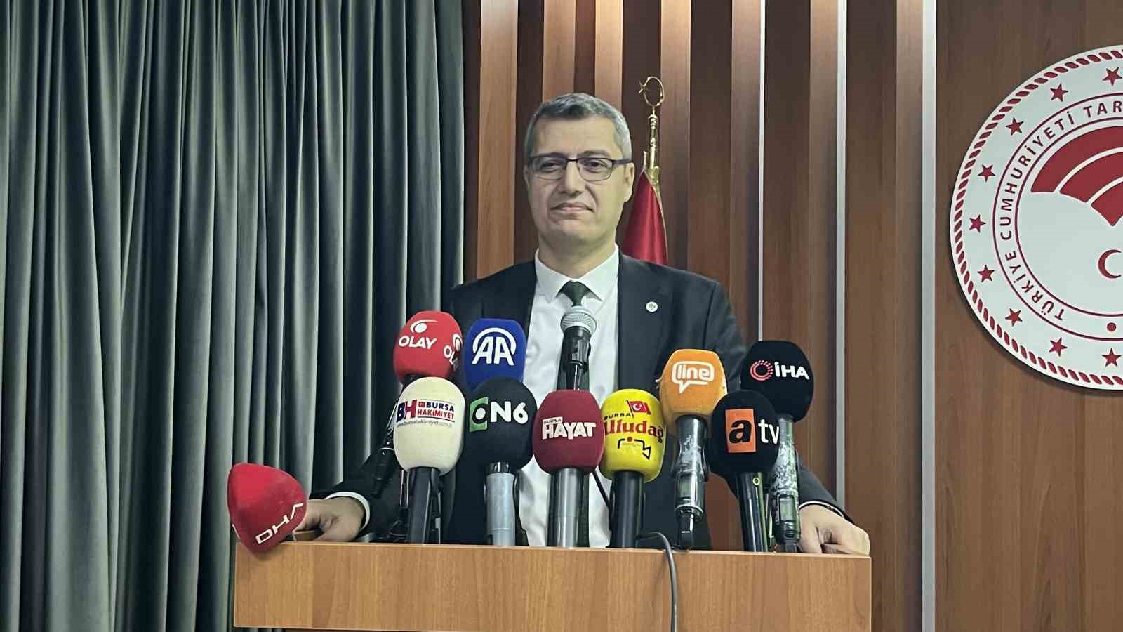 bursada yanan ormanlar 8 ayda ilmek ilmek islendi bolge yeniden can buldu 5