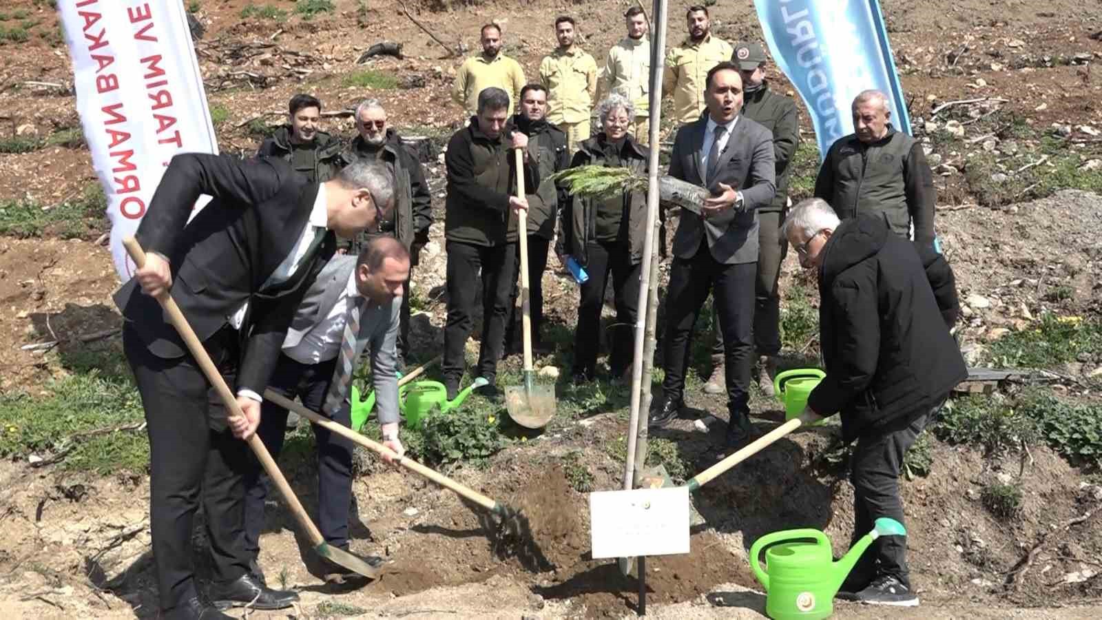 bursada yanan ormanlar 8 ayda ilmek ilmek islendi bolge yeniden can buldu 6