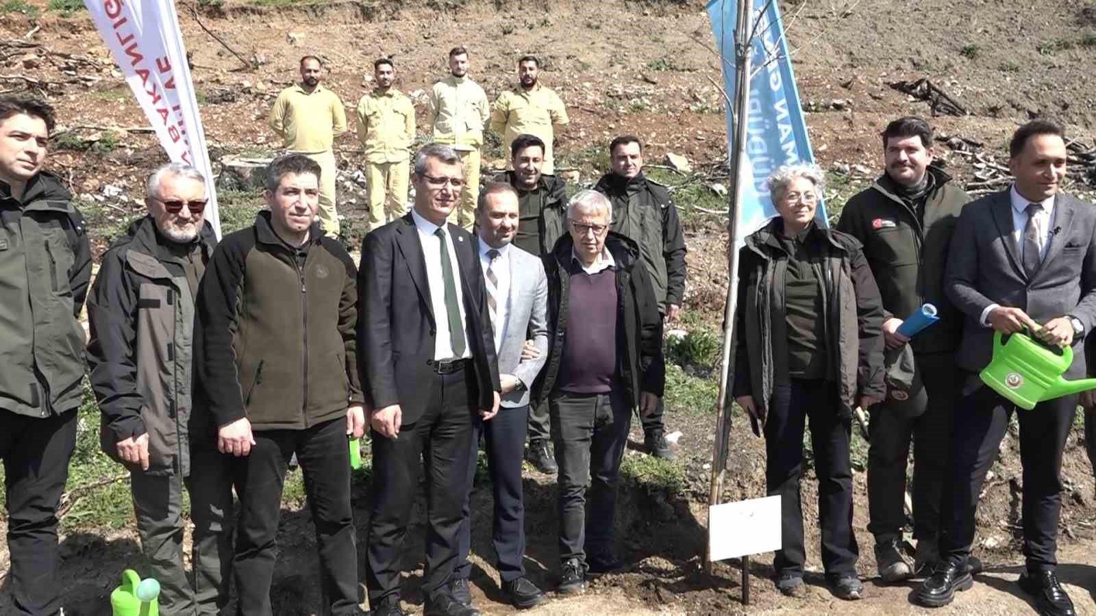 bursada yanan ormanlar 8 ayda ilmek ilmek islendi bolge yeniden can buldu 7