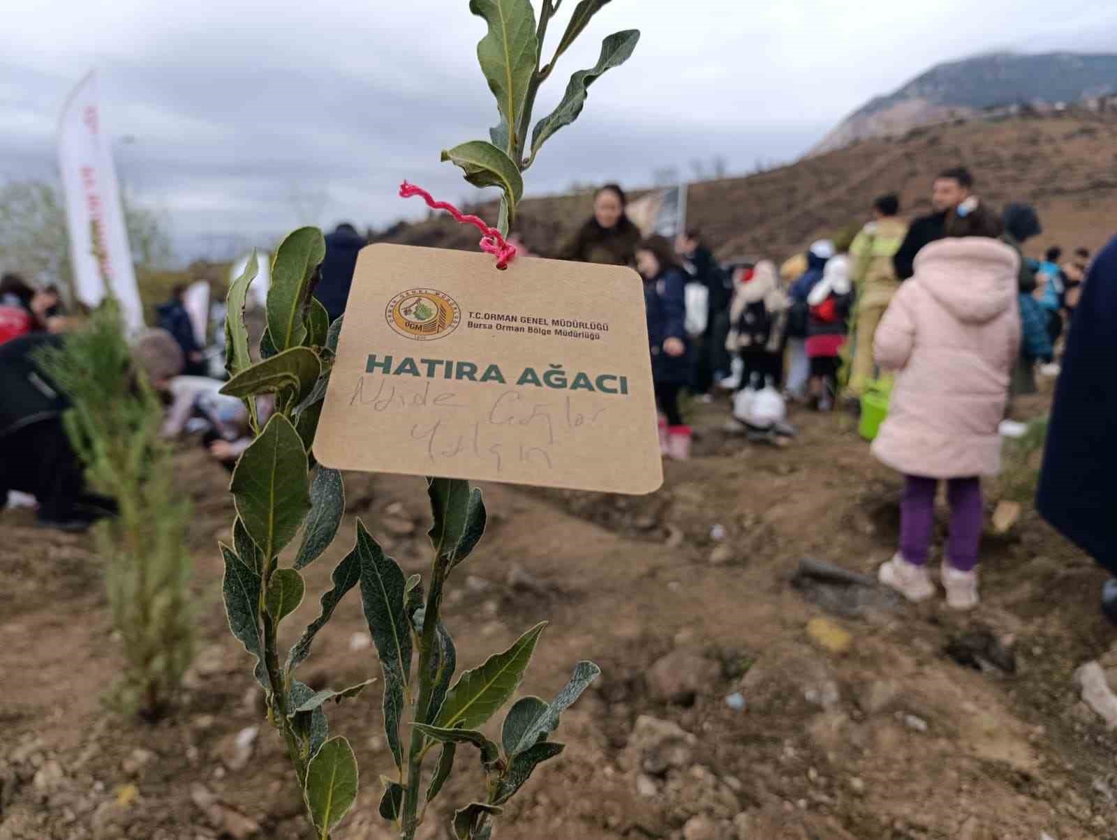 bursada yanan ormanlar milli agaclandirma gununde yeniden yeseriyor 1 68RyAzfd