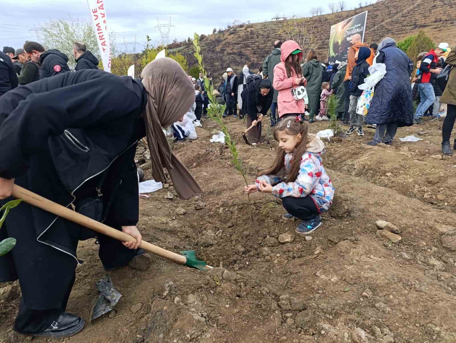 bursada yanan ormanlar milli agaclandirma gununde yeniden yeseriyor 2 ZTX7RGRe