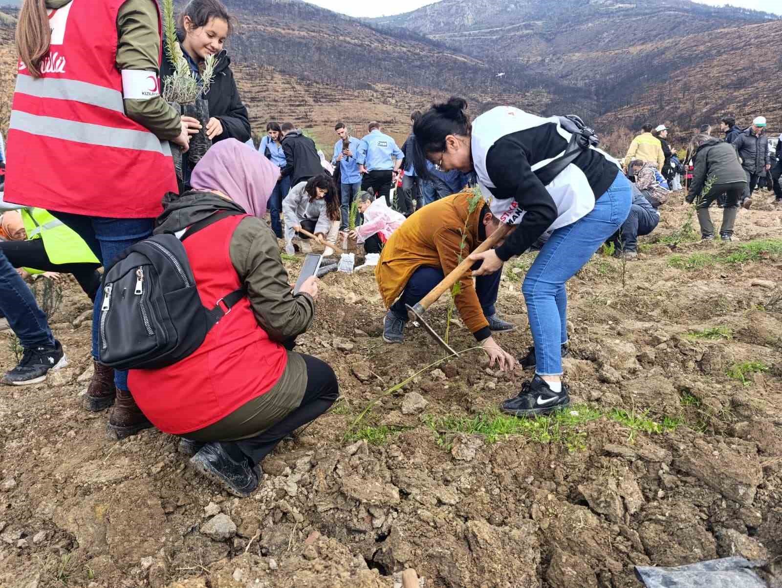 bursada yanan ormanlar milli agaclandirma gununde yeniden yeseriyor 3 Wp3QPOgY
