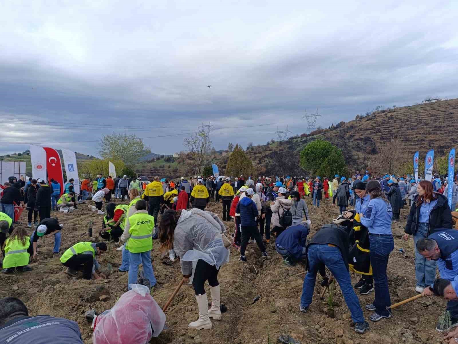 bursada yanan ormanlar milli agaclandirma gununde yeniden yeseriyor 4 AVR5XqRX